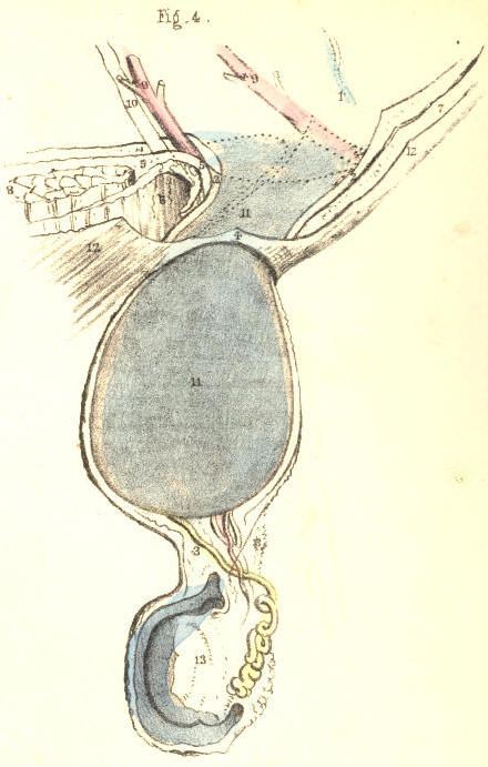 Illustration: