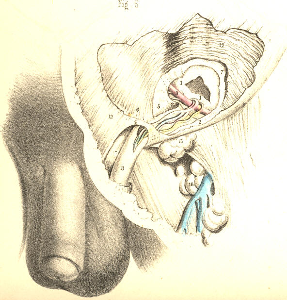 Illustration: