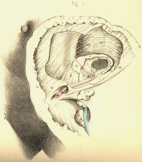 Illustration: