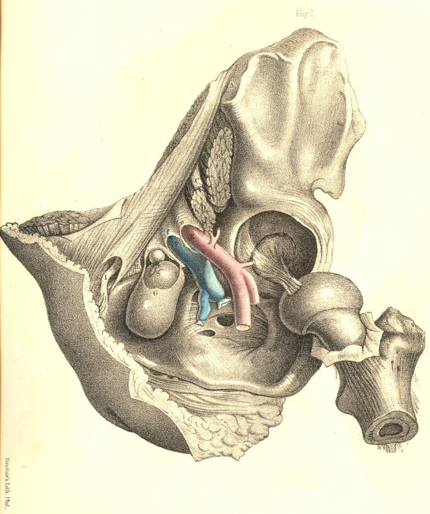 Illustration: