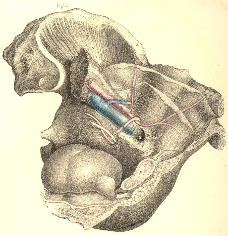 Illustration: