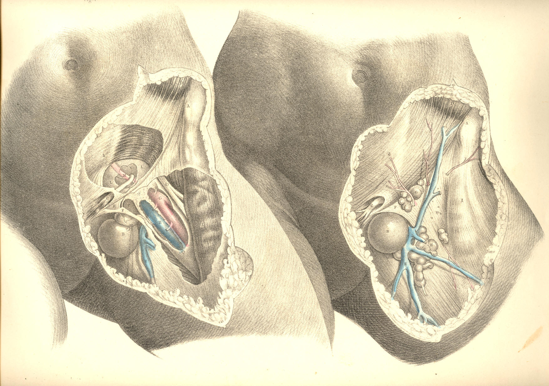 Illustration: