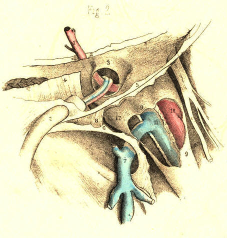 Illustration: