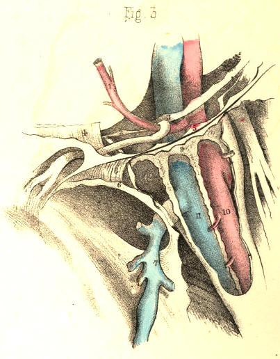 Illustration: