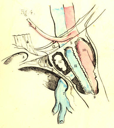 Illustration: