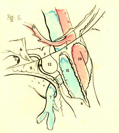 Illustration: