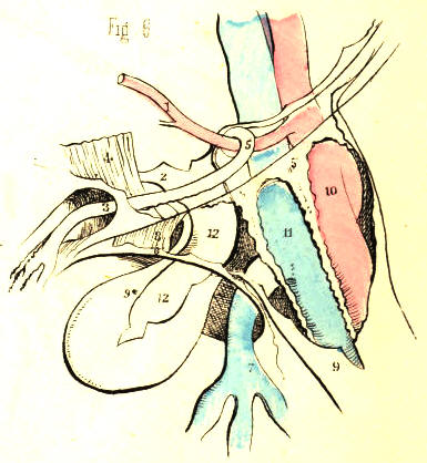 Illustration: