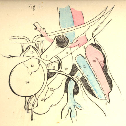 Illustration: