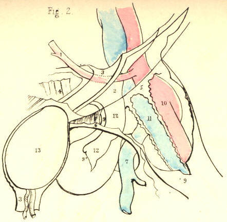 Illustration:
