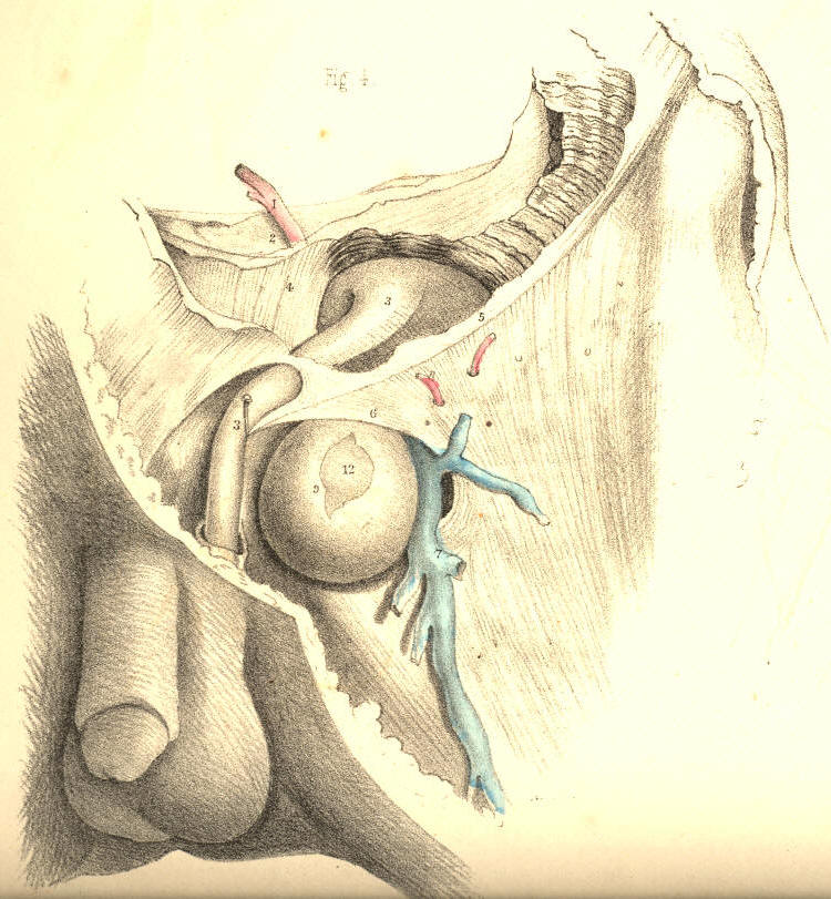 Illustration:
