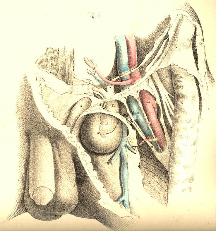 Illustration: