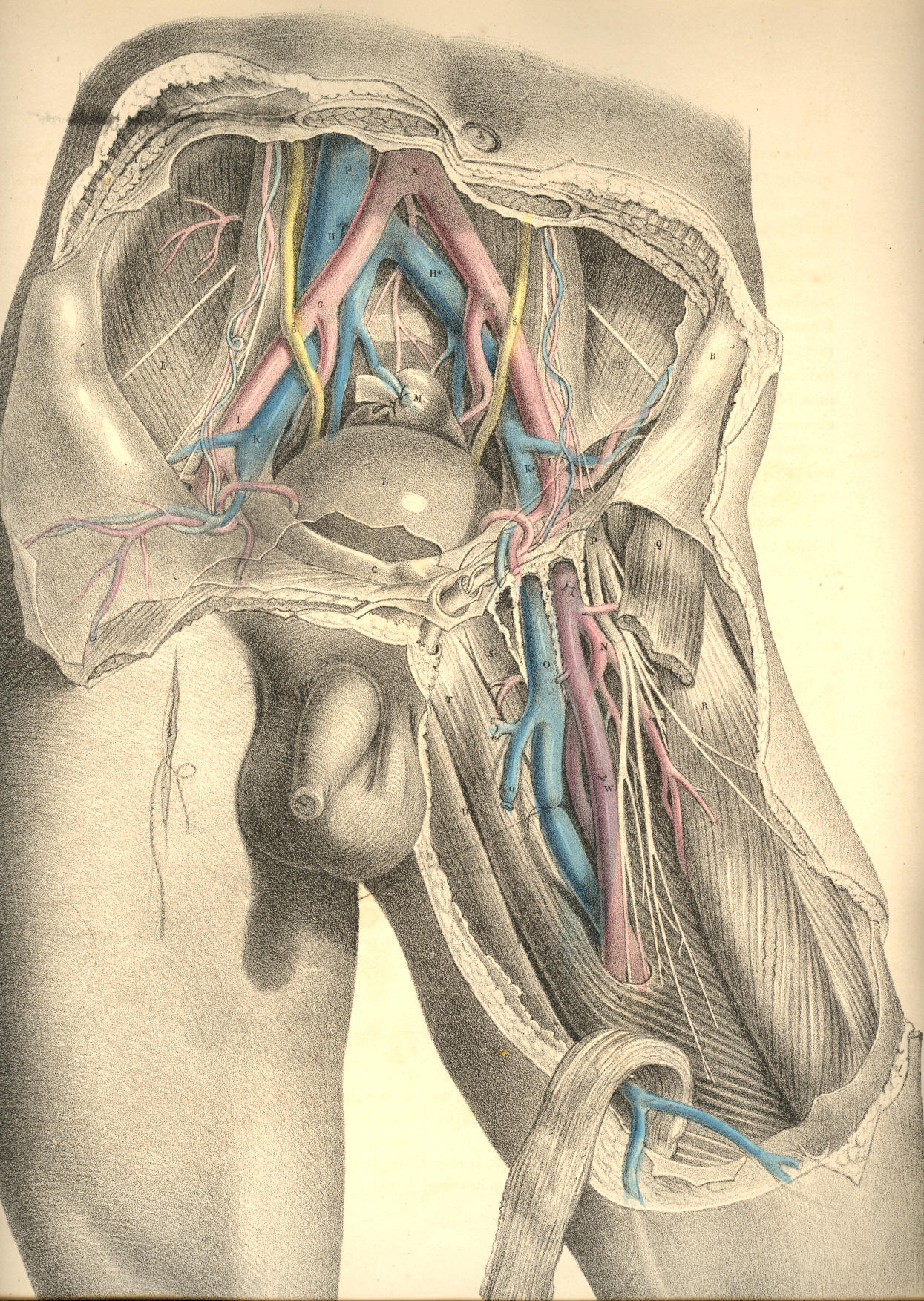 Illustration: