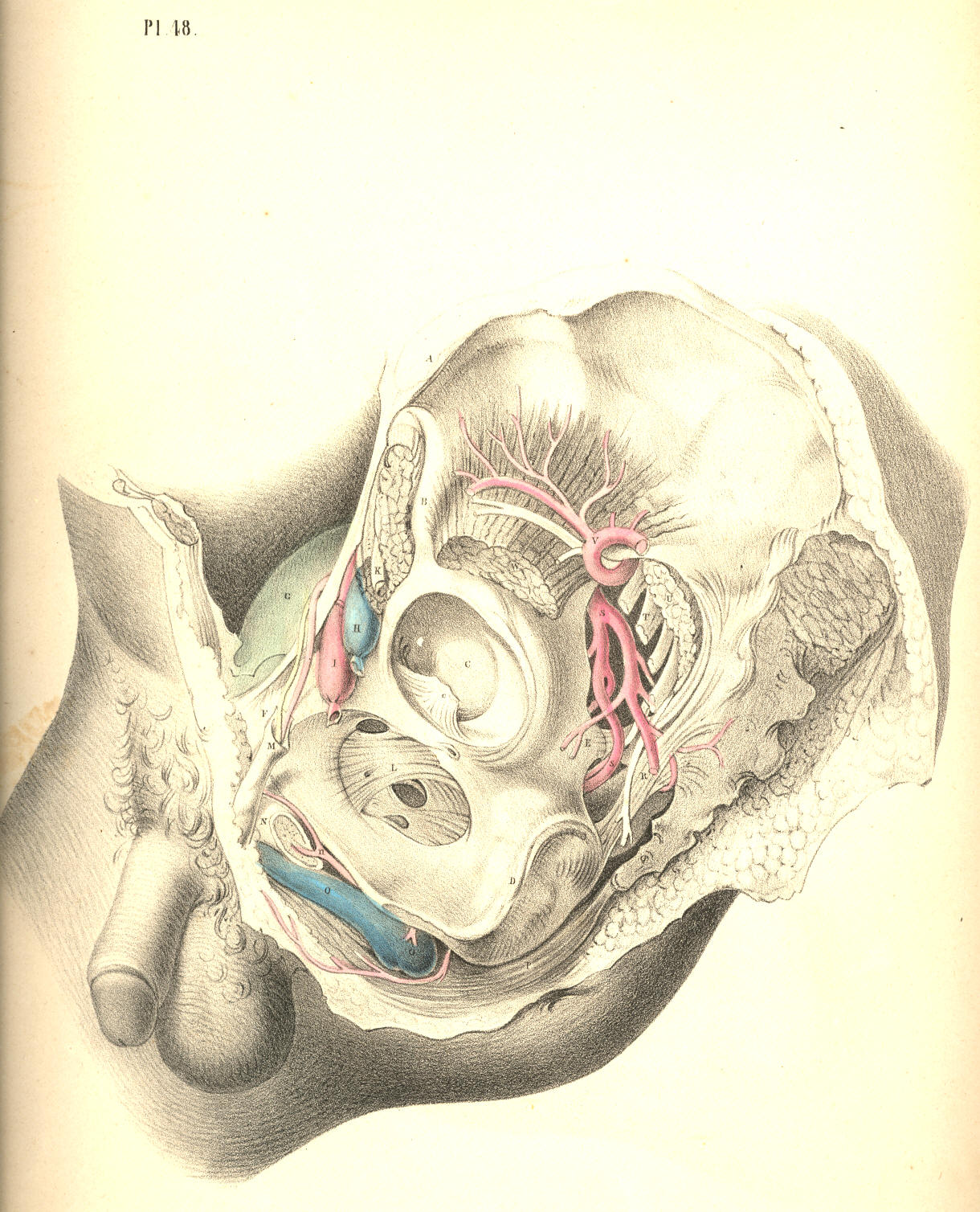 Illustration: