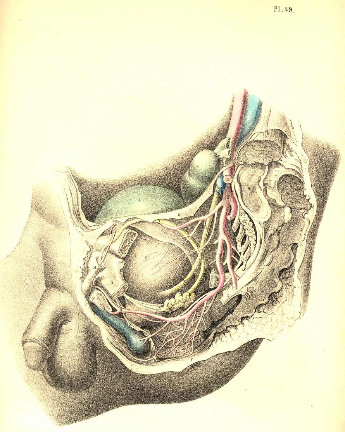 Illustration: