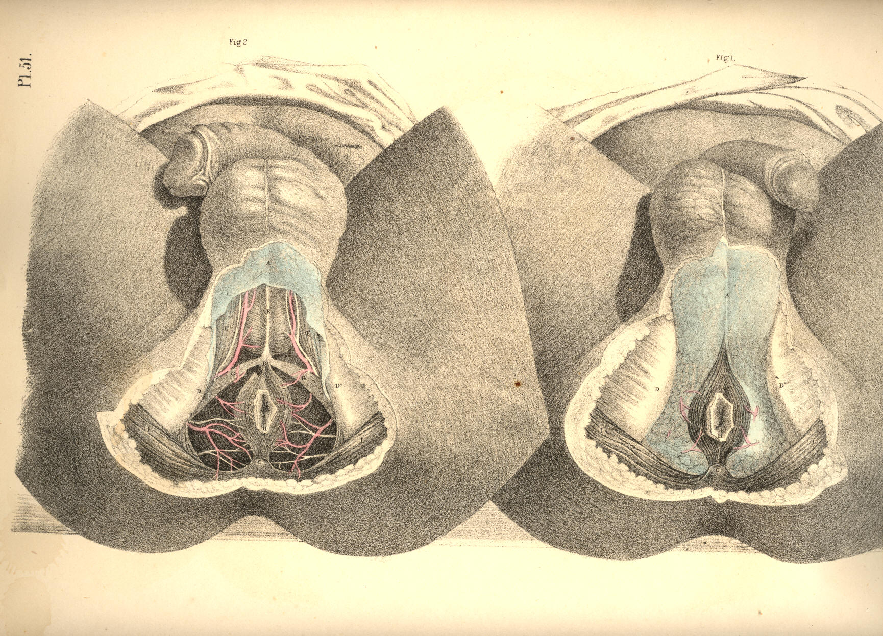 Illustration: