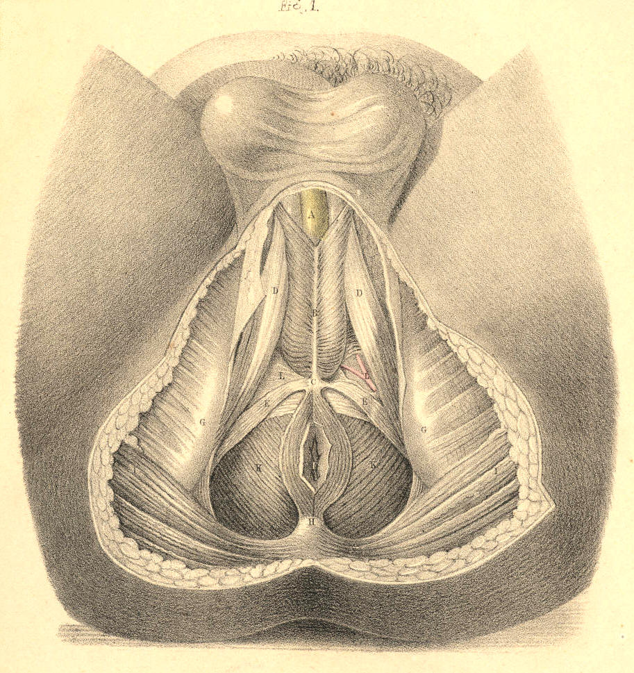 Illustration: