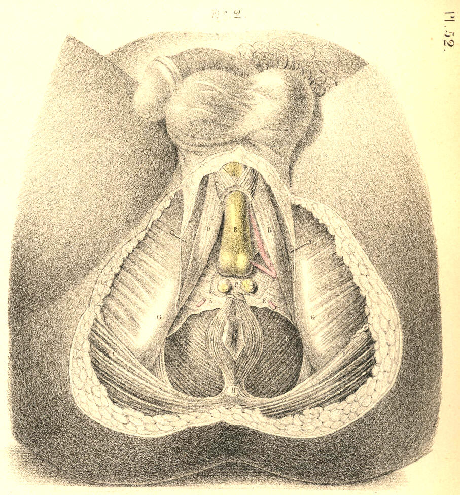 Illustration: