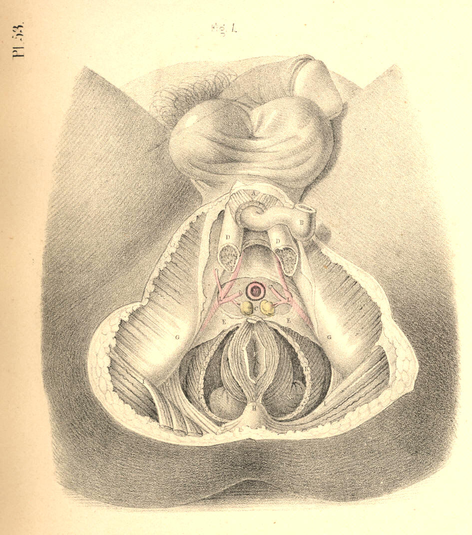 Illustration: