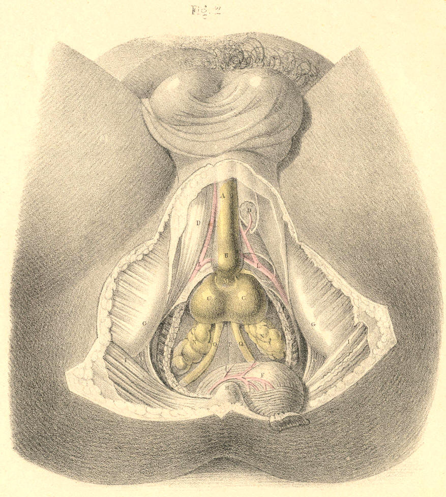 Illustration: