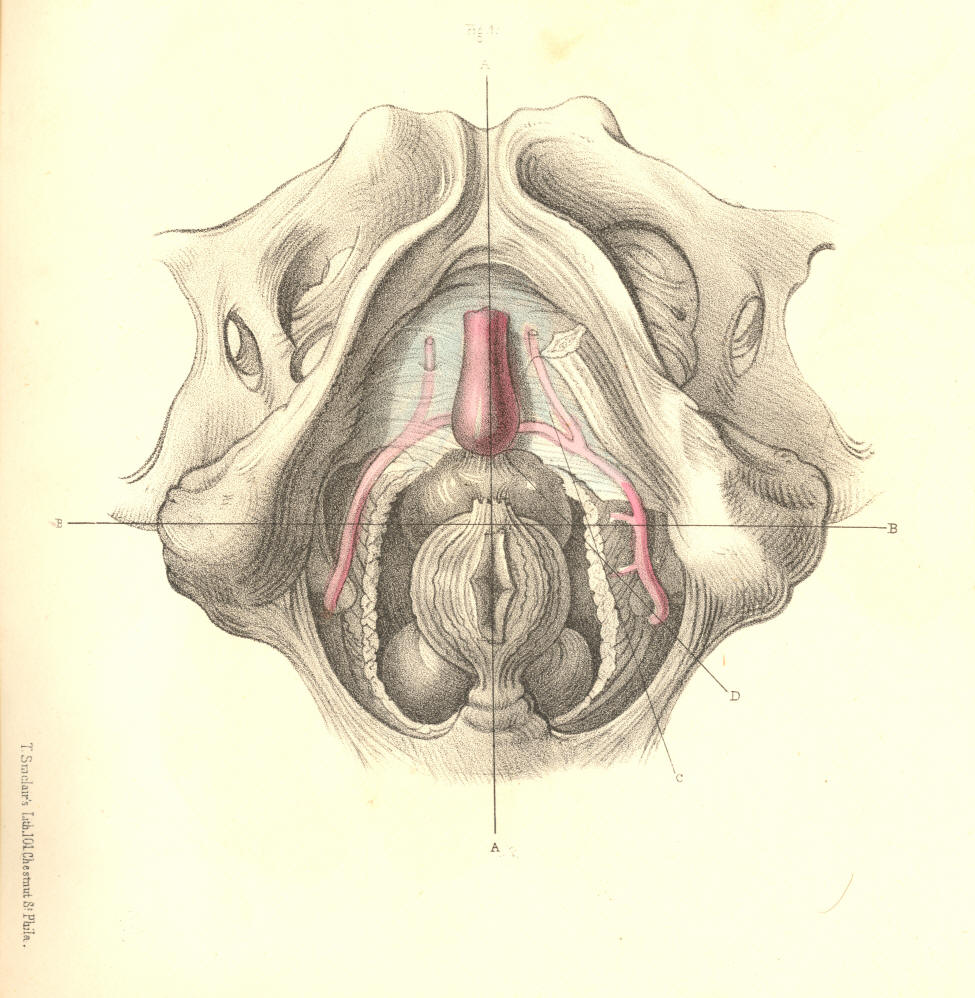 Illustration:
