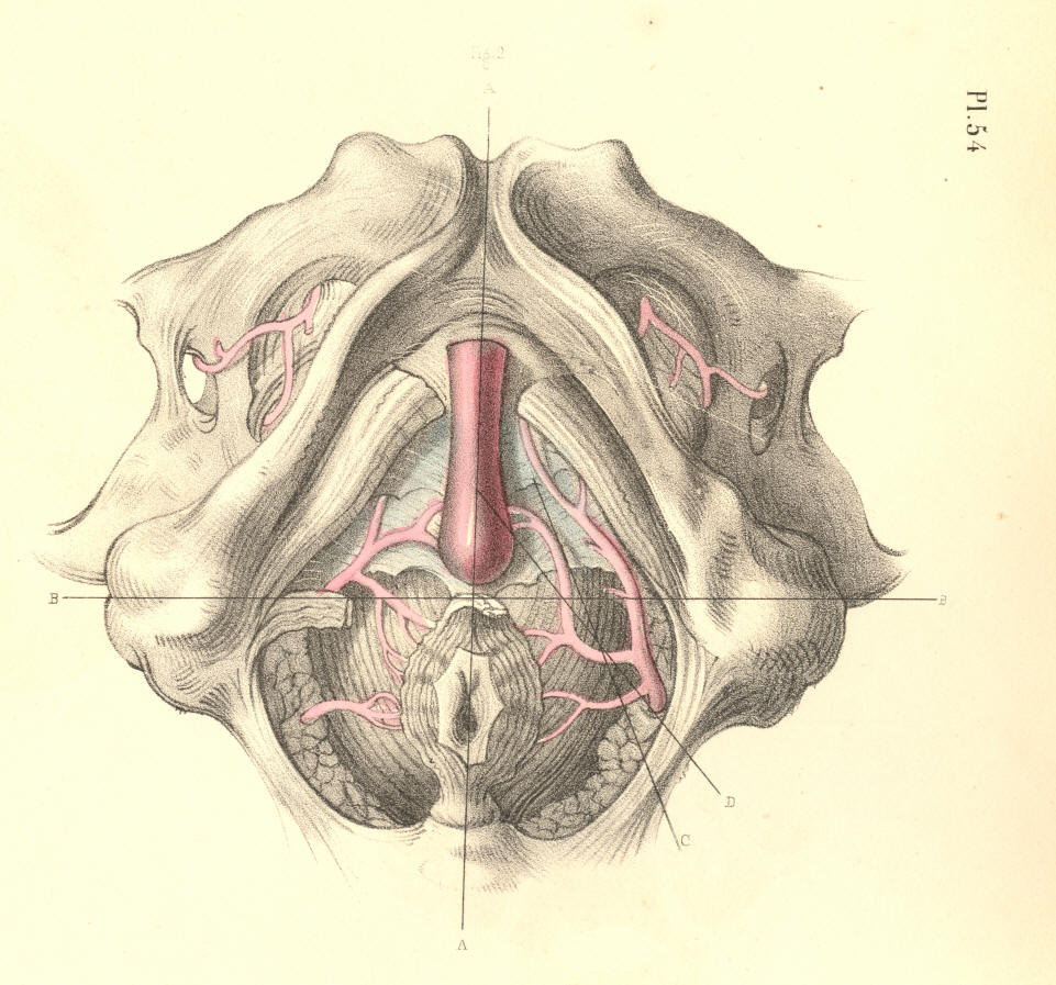 Illustration: