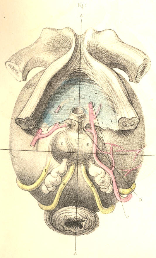 Illustration: