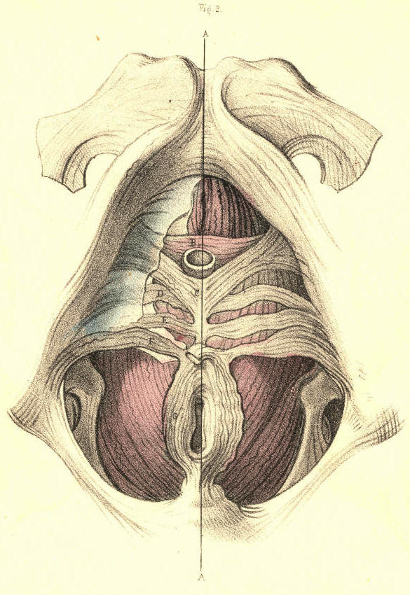 Illustration: