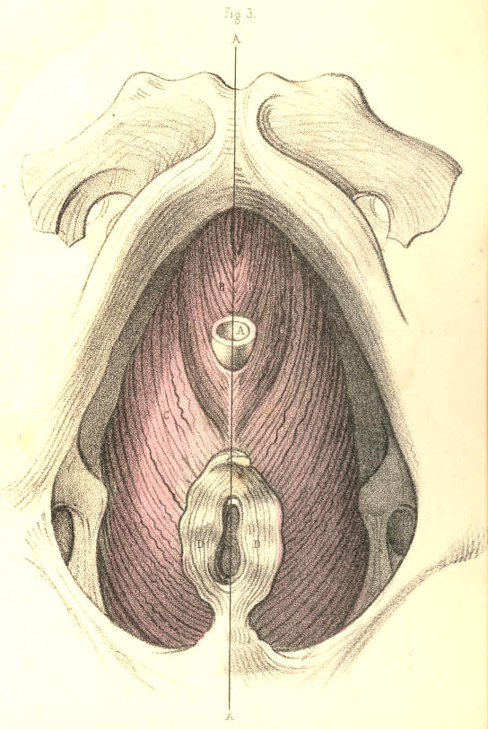 Illustration: