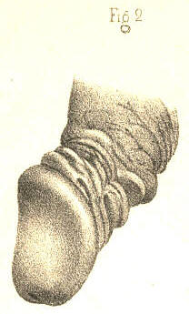 Illustration: