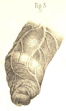 Illustration: