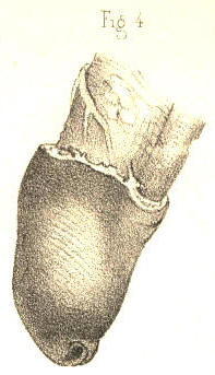 Illustration: