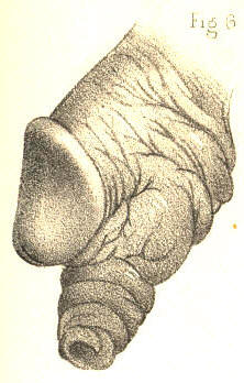 Illustration: