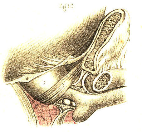 Illustration: