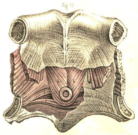 Illustration: