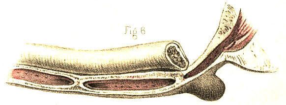 Illustration: