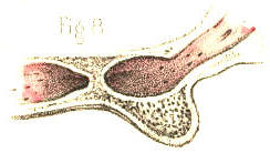 Illustration: