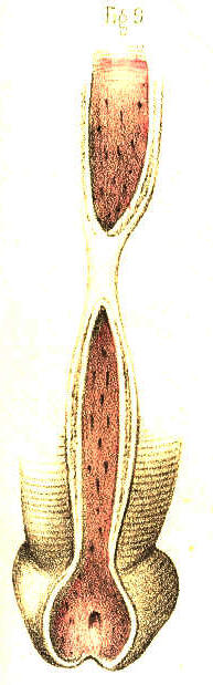 Illustration: