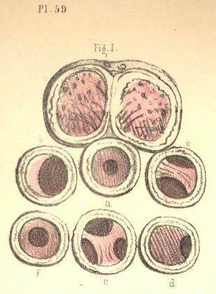 Illustration: