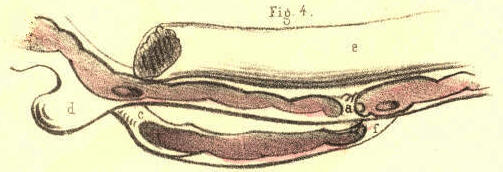 Illustration: