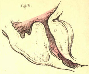 Illustration: