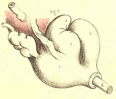 Illustration: