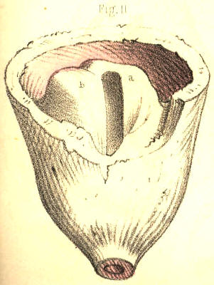 Illustration:
