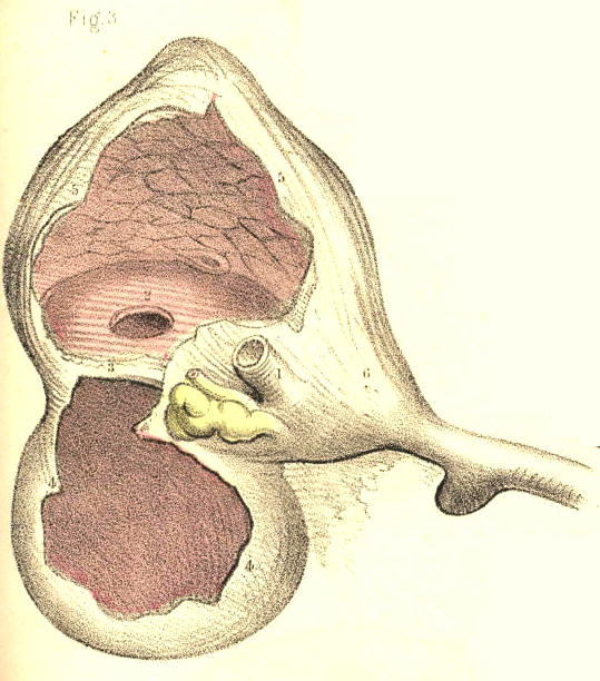 Illustration: