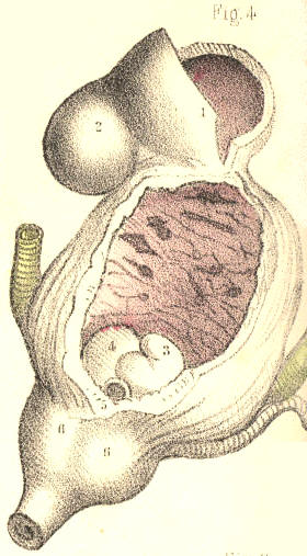 Illustration: