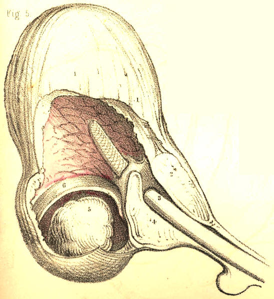 Illustration: