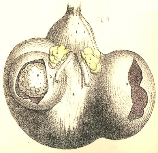 Illustration: