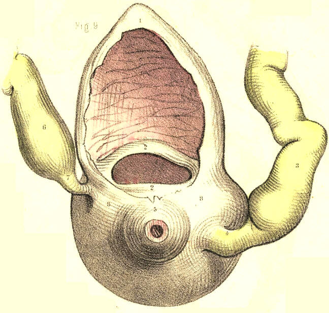 Illustration: