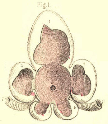 Illustration: