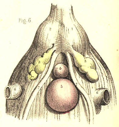 Illustration: