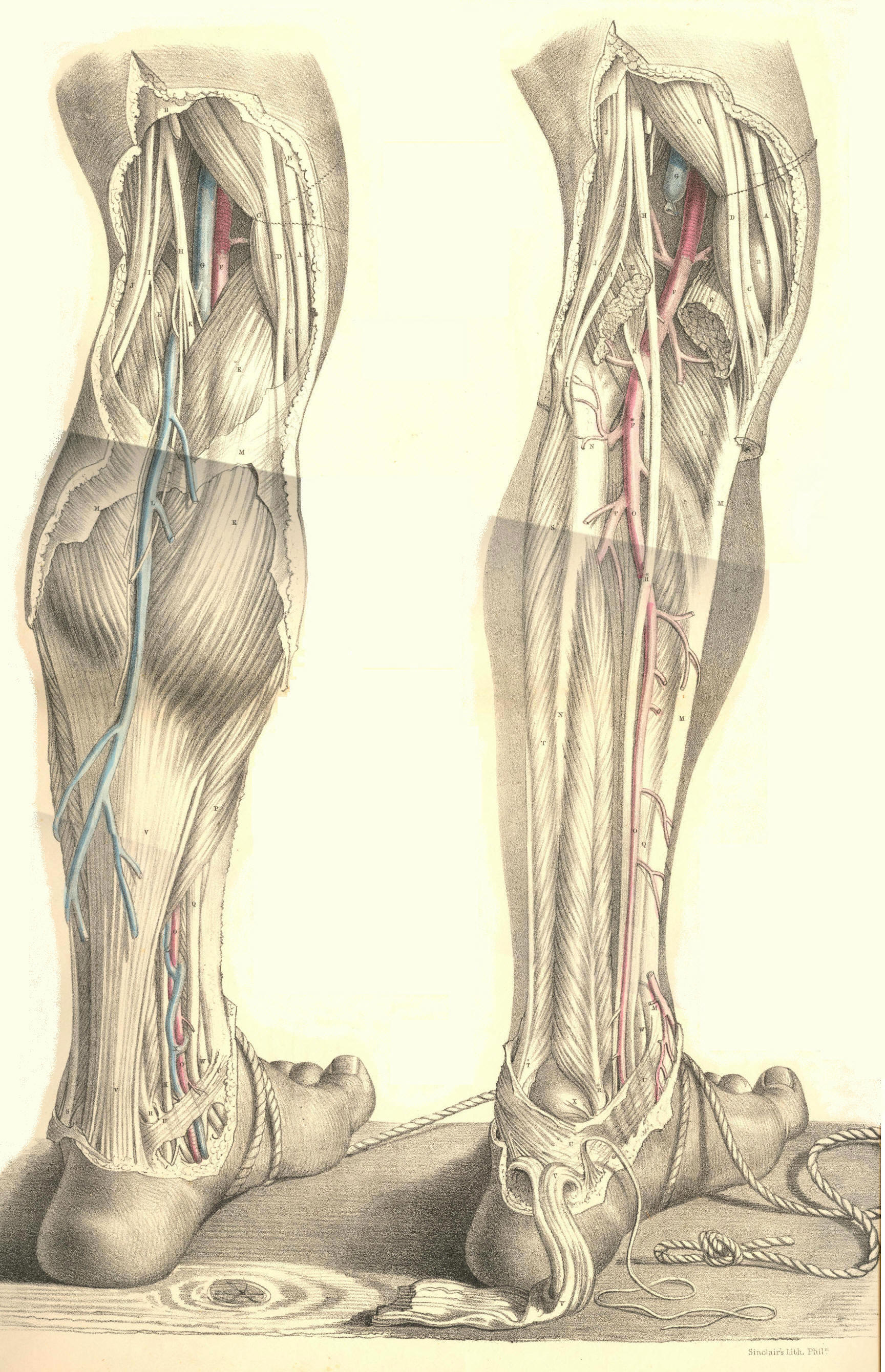 Illustration: